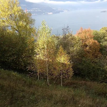 Κατάλυμα σε φάρμα Monte Ulivo