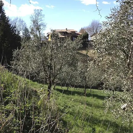 Farmház Monte Ulivo *